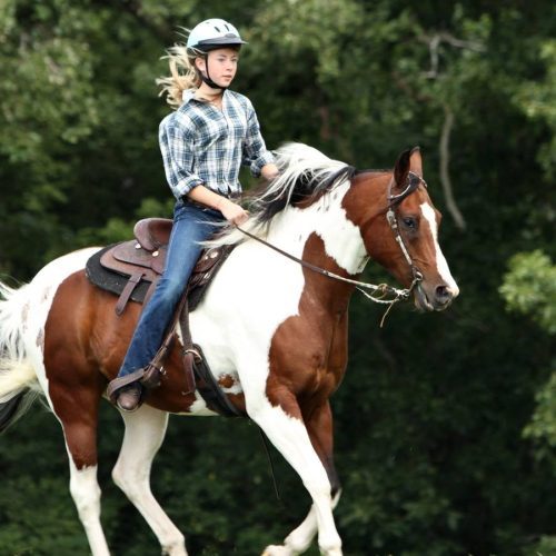 Te paard op het erf