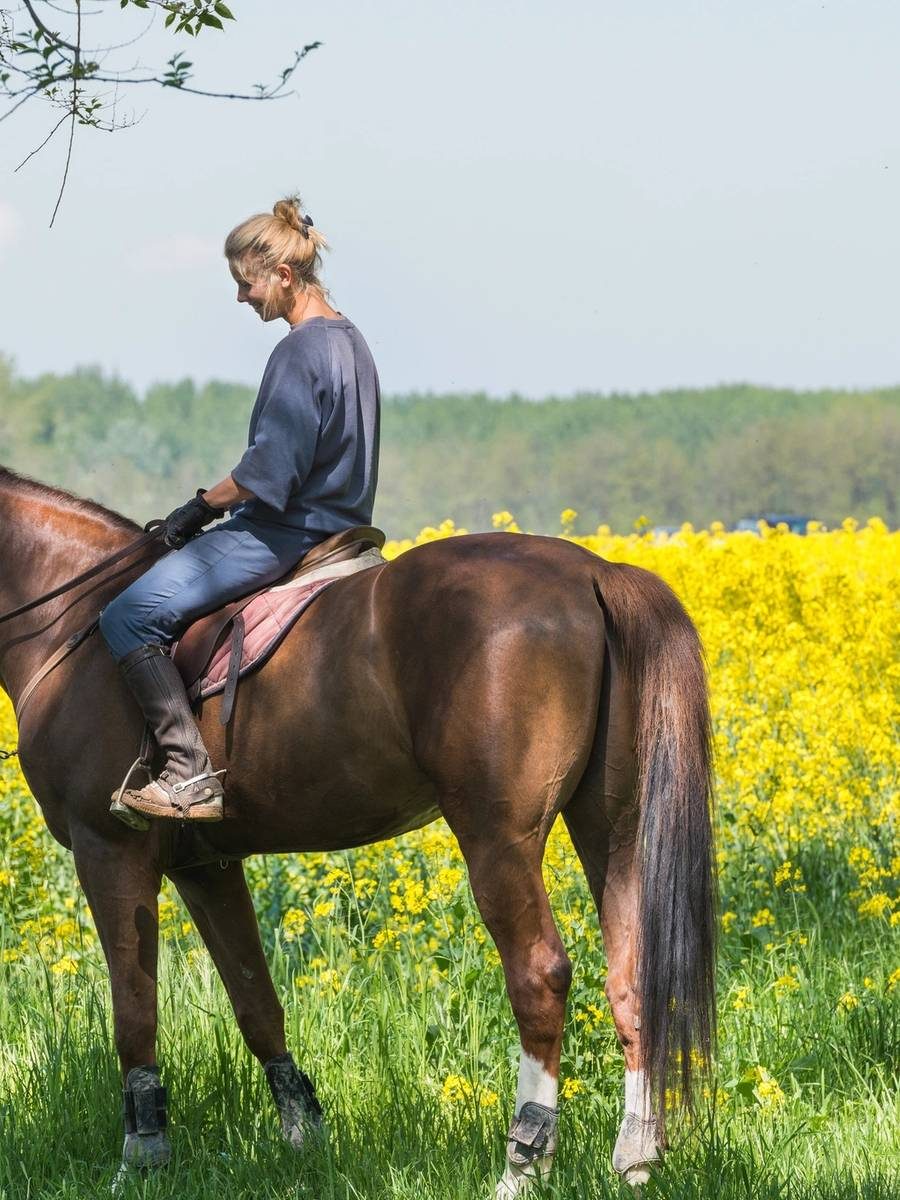 Buitenrit langs het koolzaad