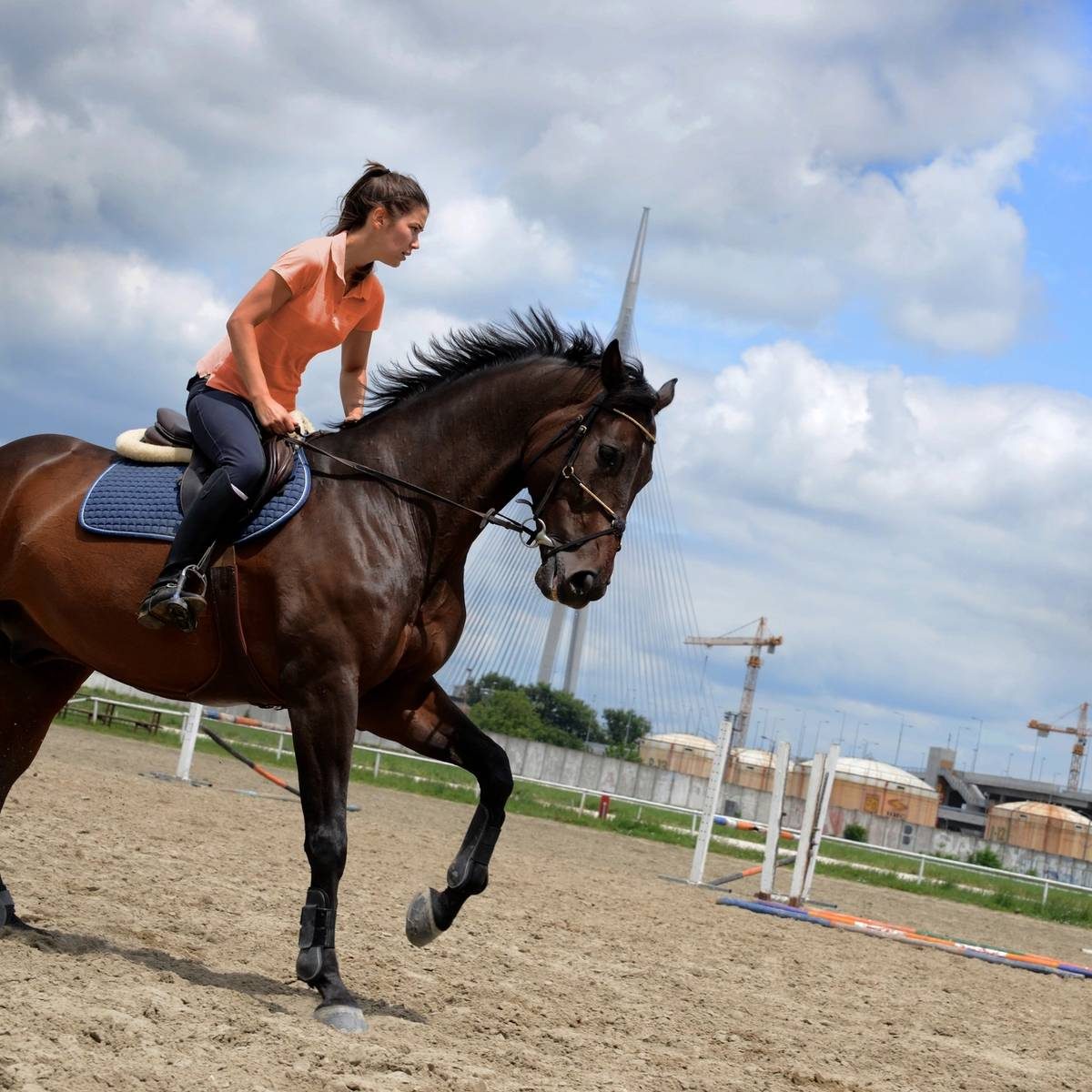Dressuurpaard in galop