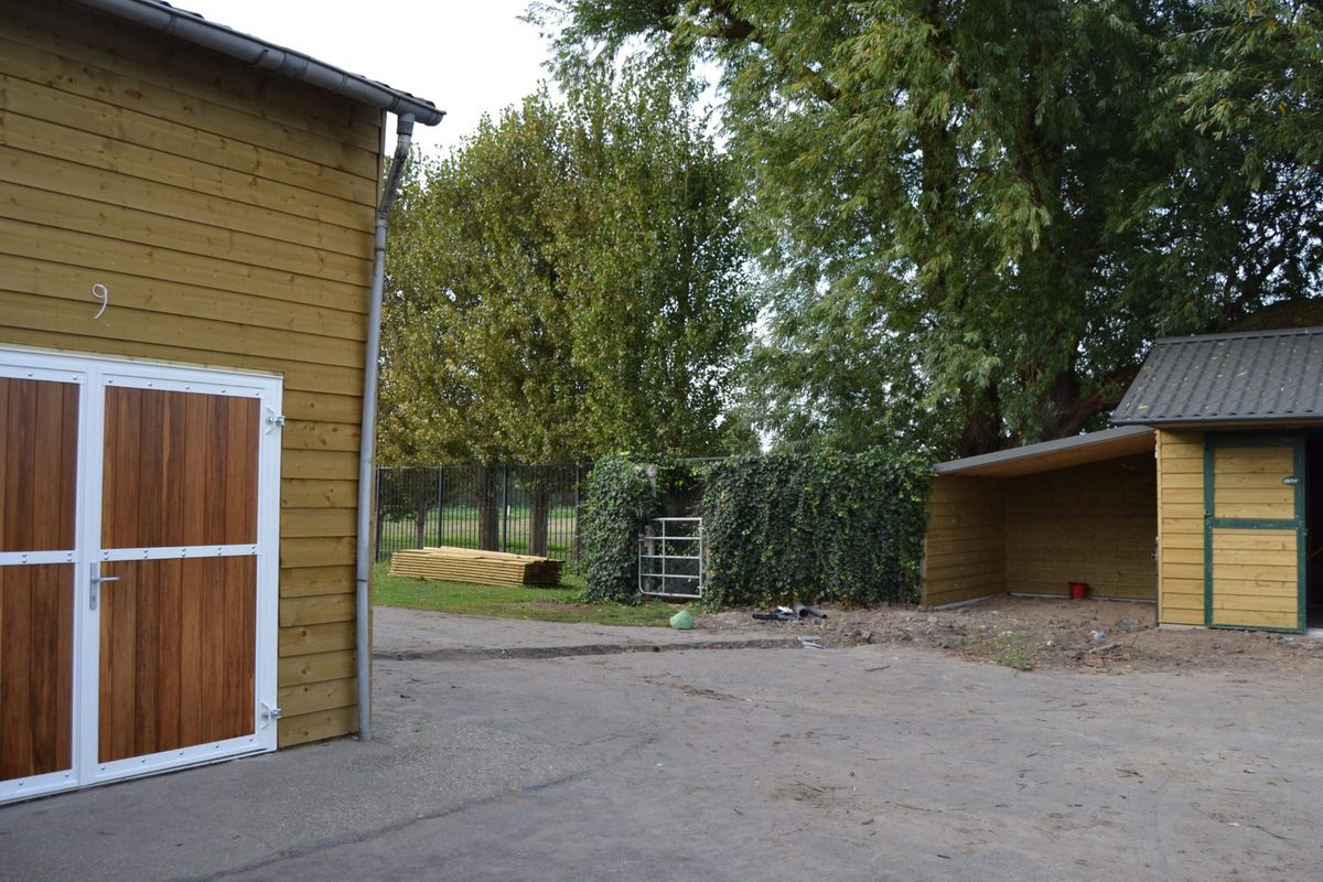 Het erf met stallen en paddock