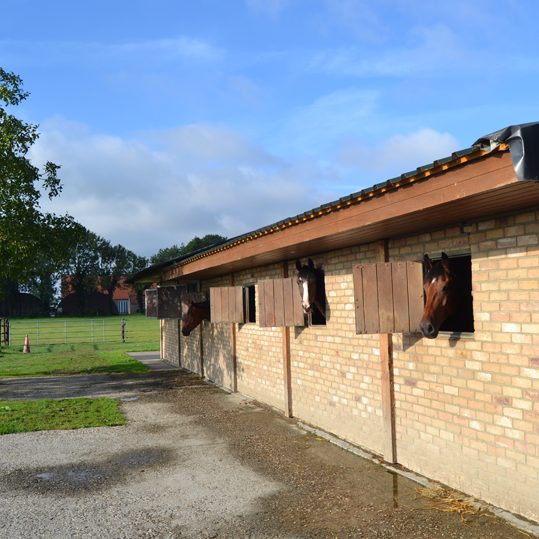 De stallen van Gezonde Hoeve met buitenluiken