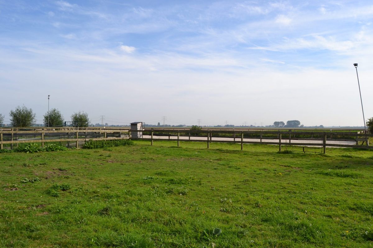 De weiden met veilige afrastering